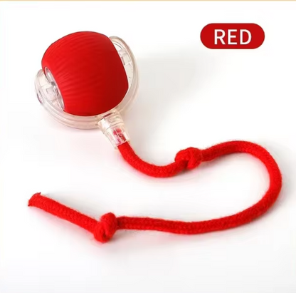 Automatic Rolling Cat Toy Ball with Tail