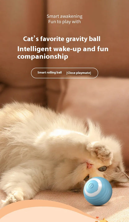 Self-Moving Interactive Toy Ball for Cats & Small Dogs