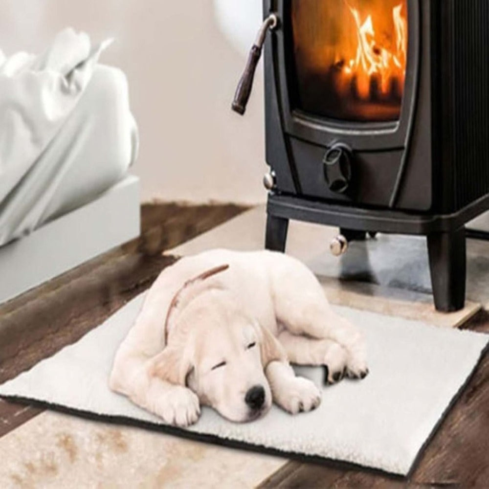 Self-Warming Pet Blanket (No Electricity)