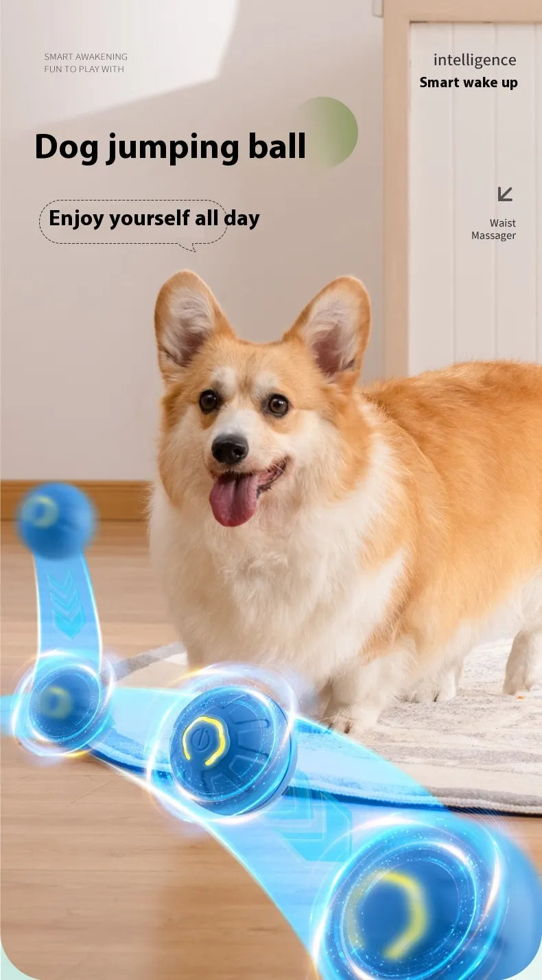Self-Moving Interactive Toy Ball for Cats & Small Dogs