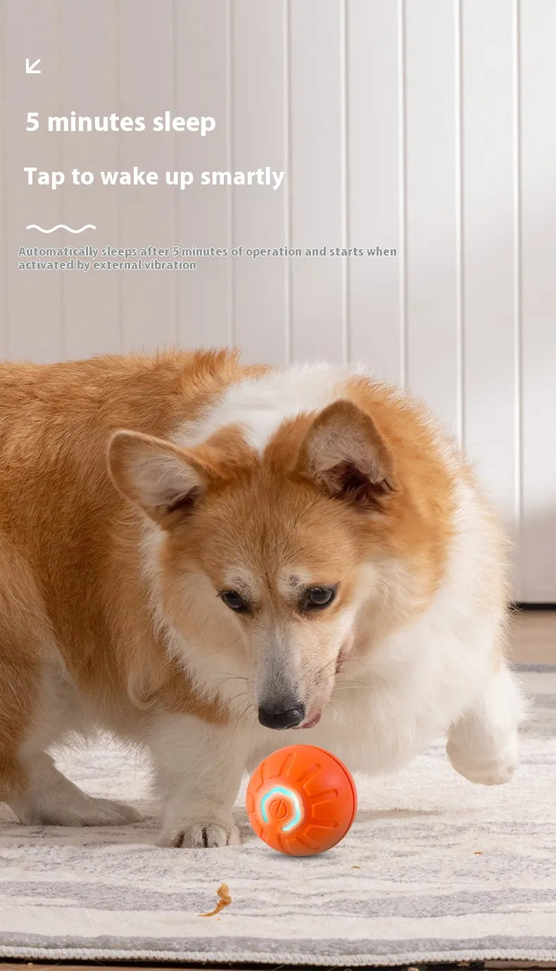 Self-moving interactive toy ball for cats and small dogs