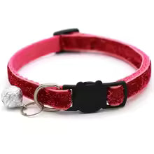 Cat wearing a collar with bell