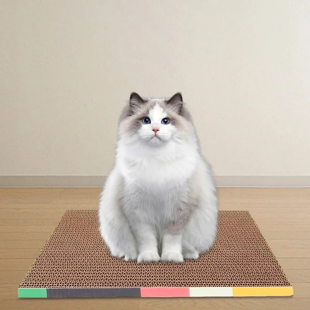 Cardboard cat scratcher pad with a cat sitting on it