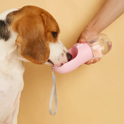 Leak-proof portable dog water bottle, dog drinking on a walk