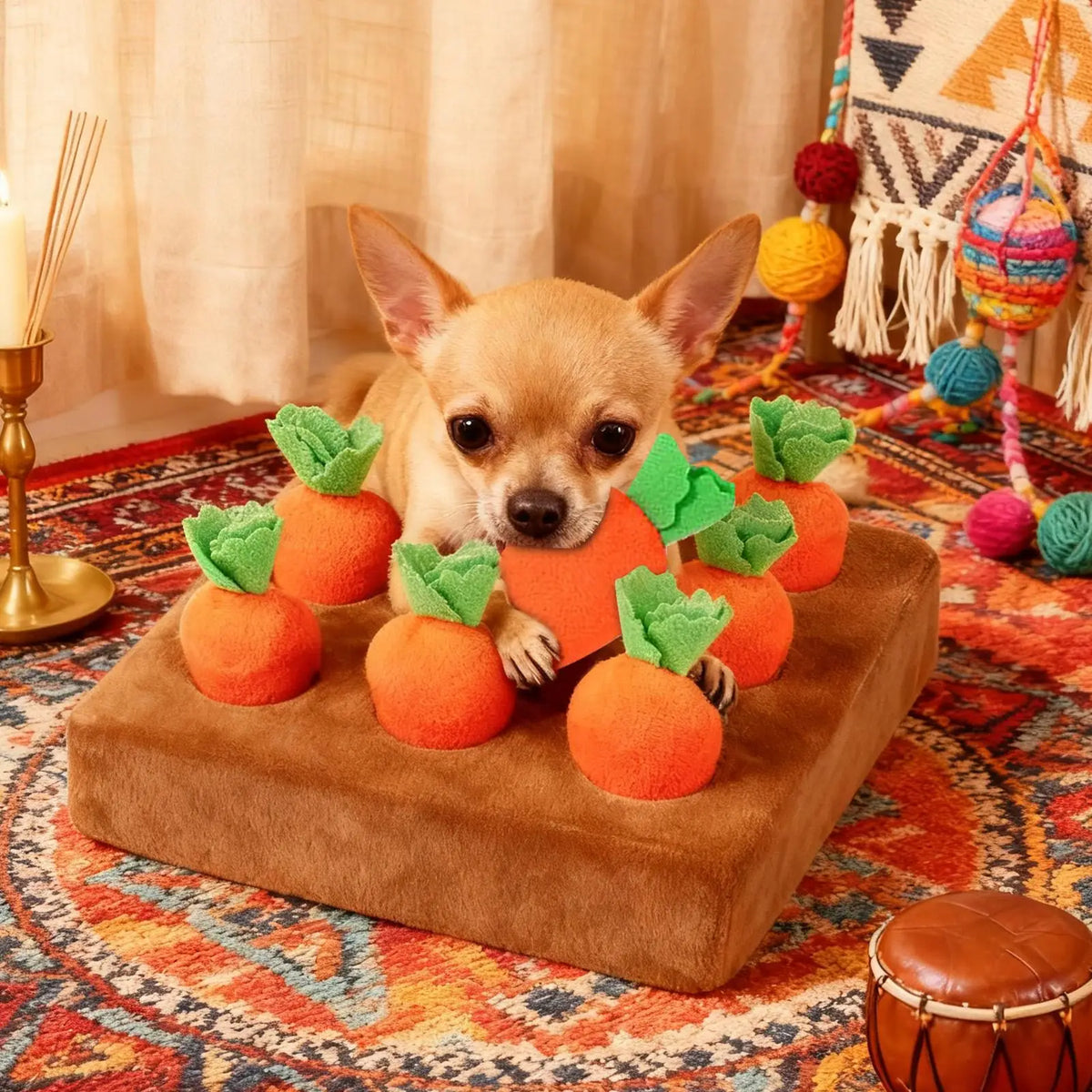 Carrot snuffle mat puzzle toy for dogs, with a chihuahua