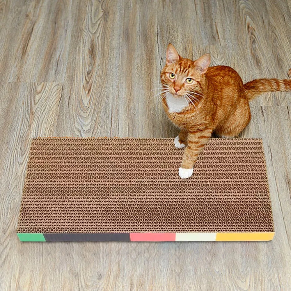 Cardboard cat scratcher pad, cat lounging by the window
