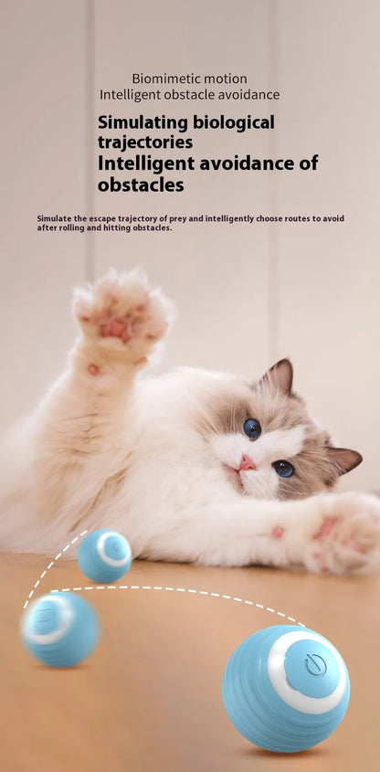 Self-Moving Interactive Toy Ball for Cats & Small Dogs