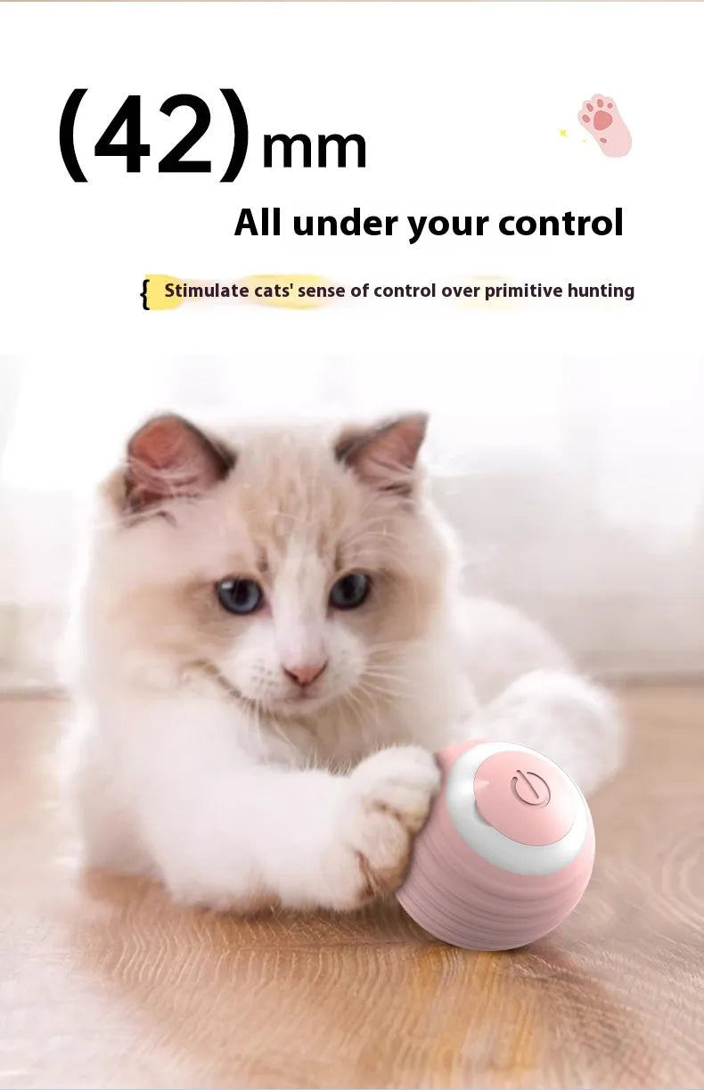 Self-Moving Interactive Toy Ball for Cats & Small Dogs