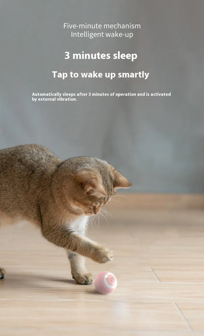 Self-Moving Interactive Toy Ball for Cats & Small Dogs
